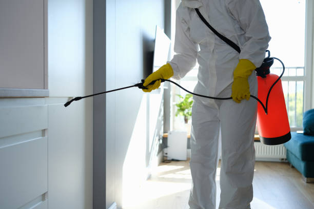 Water Damage Restoration in French Island, WI