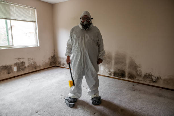 Best Crawl Space Mold Removal  in French Island, WI